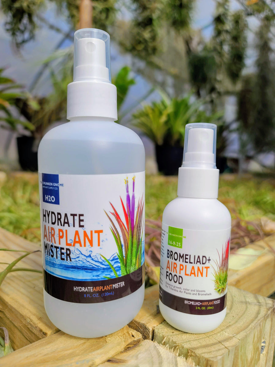 2oz Air Plant Food and Fertilizer