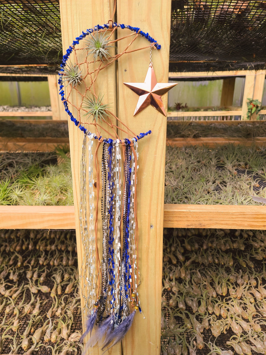 Moon Dreamcatcher with 3 Ionantha Air Plants