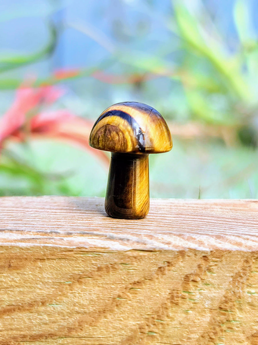 Mini Tigers Eye Crystal Mushroom