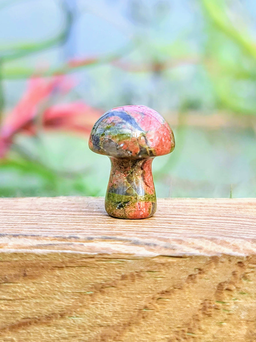 Mini Unakite Crystal Mushroom