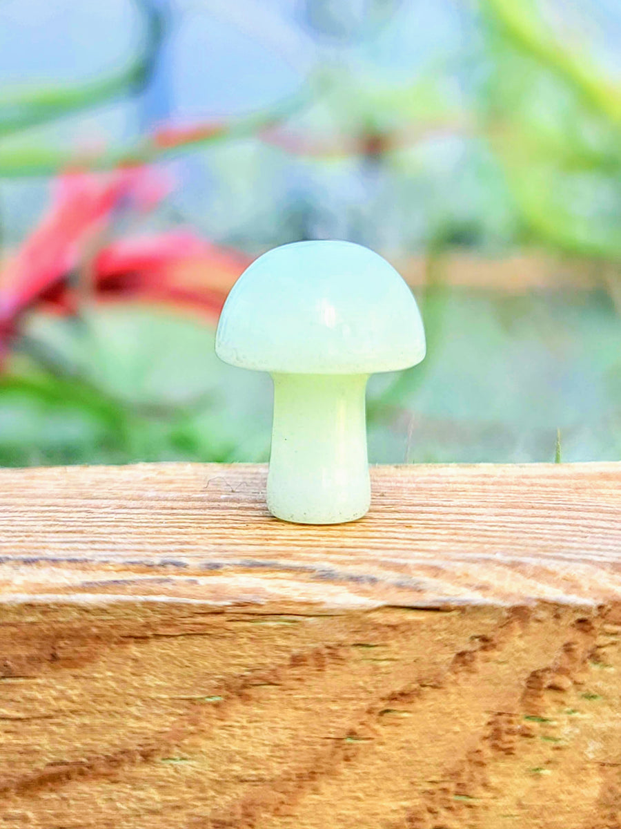 Mini Luminous Crystal Mushroom