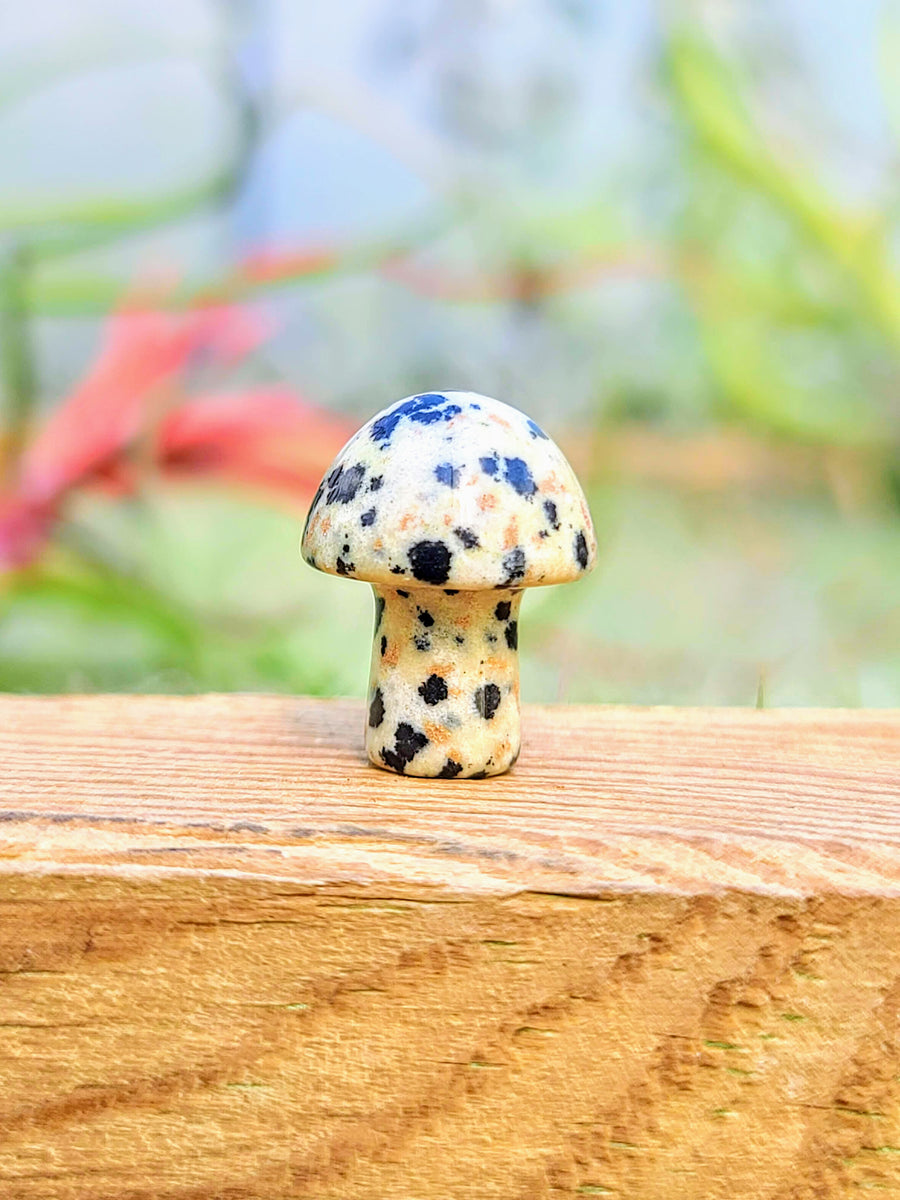 Mini Dalmatian Jasper Crystal Mushroom