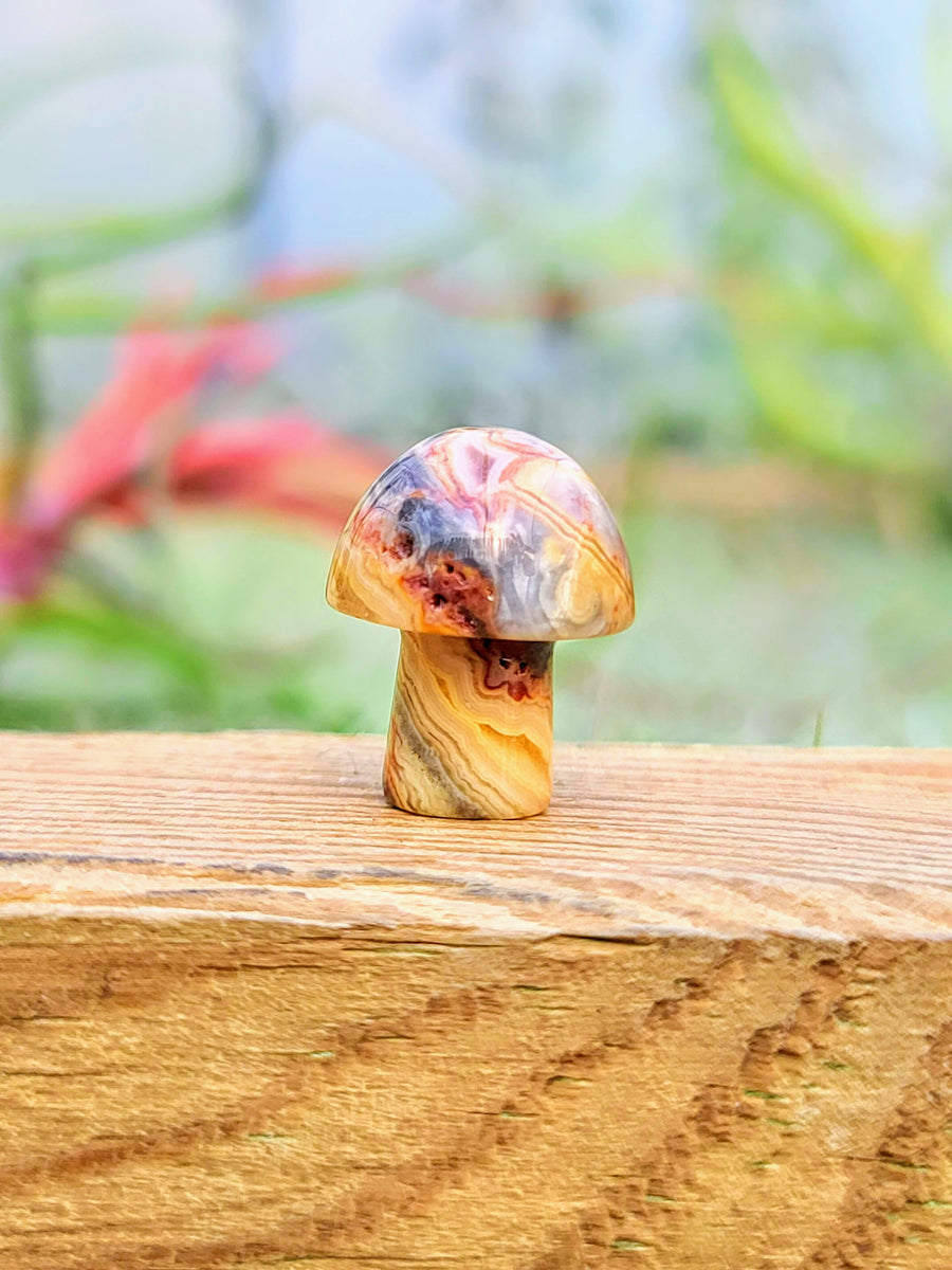 Mini Crazy Lace Agate Crystal Mushroom