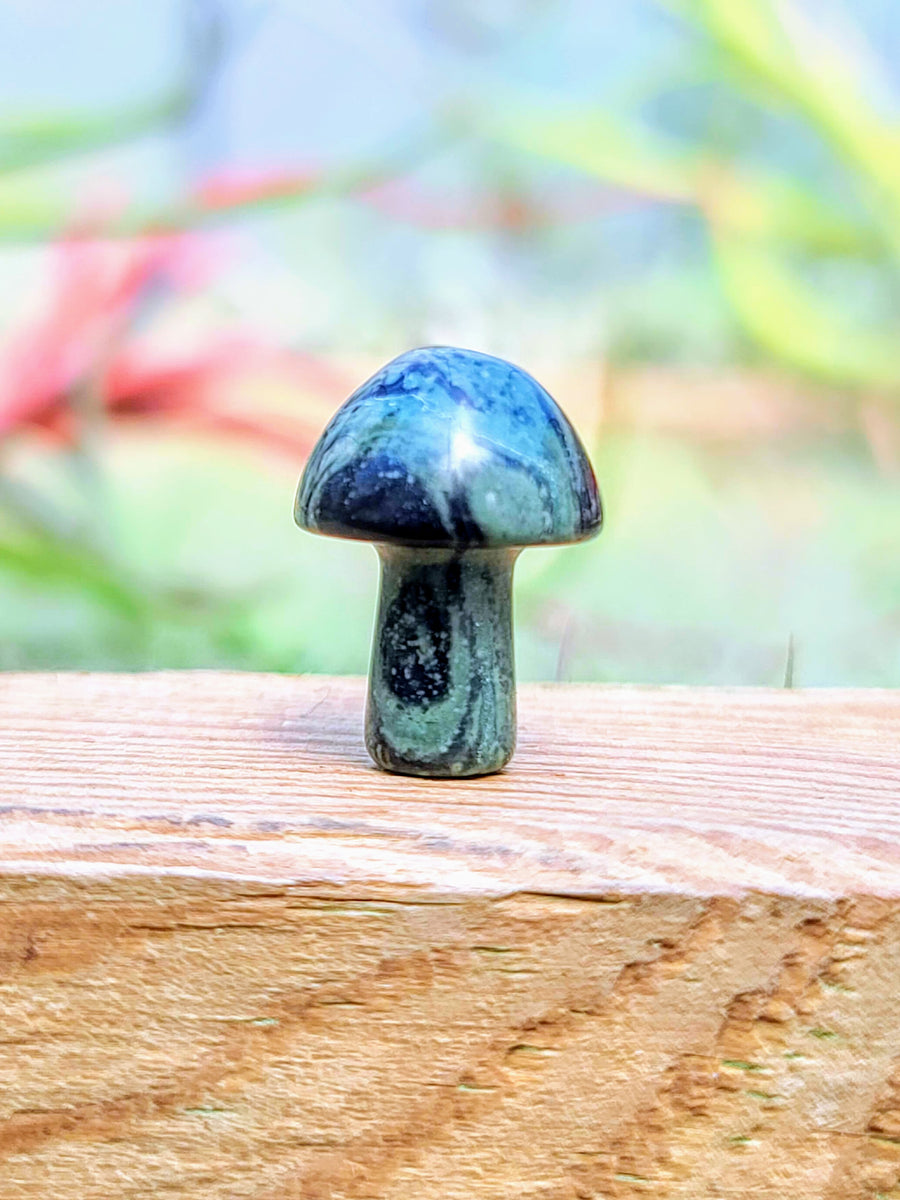 Mini Kambaba Jasper Crystal Mushroom