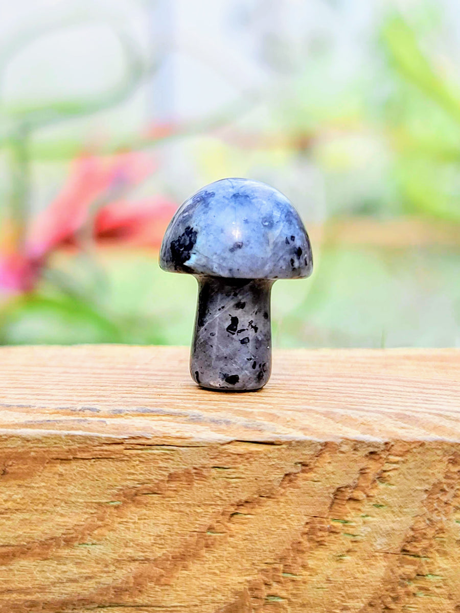 Mini Larvikite Crystal Mushroom