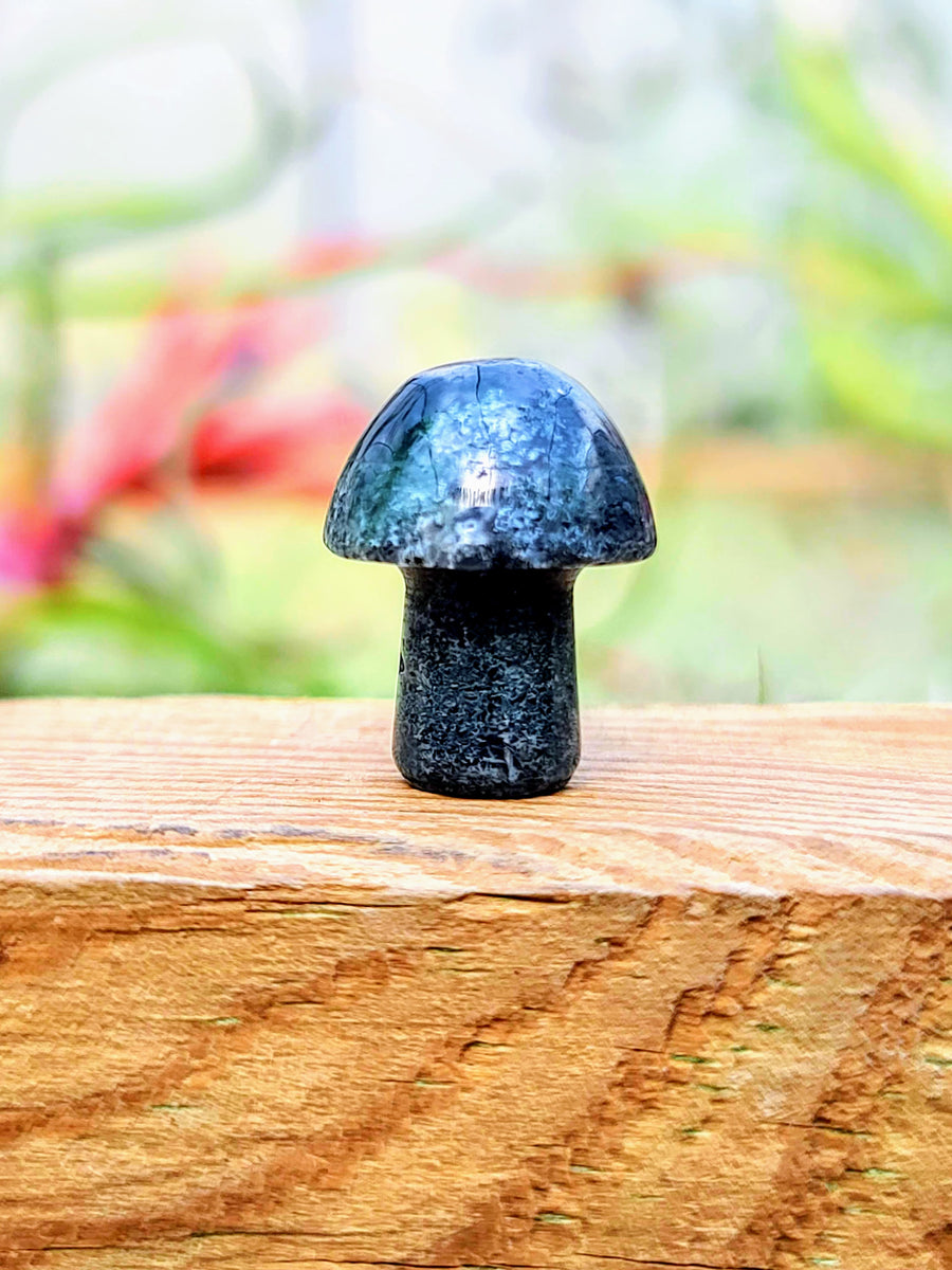 Mini Dark Moss Agate Crystal Mushroom