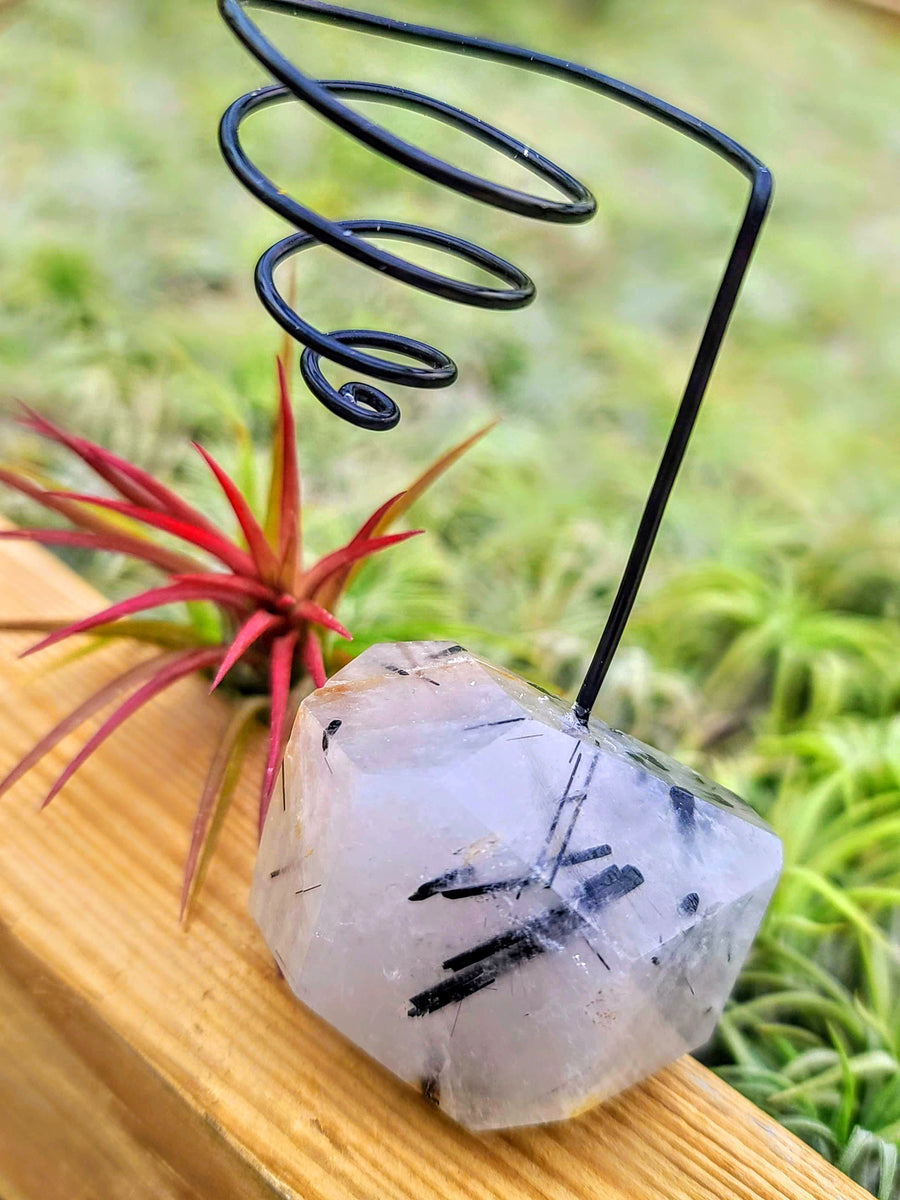 WYSIWYG Black Tourmalinated Quartz Air Plant Holder with Fuego
