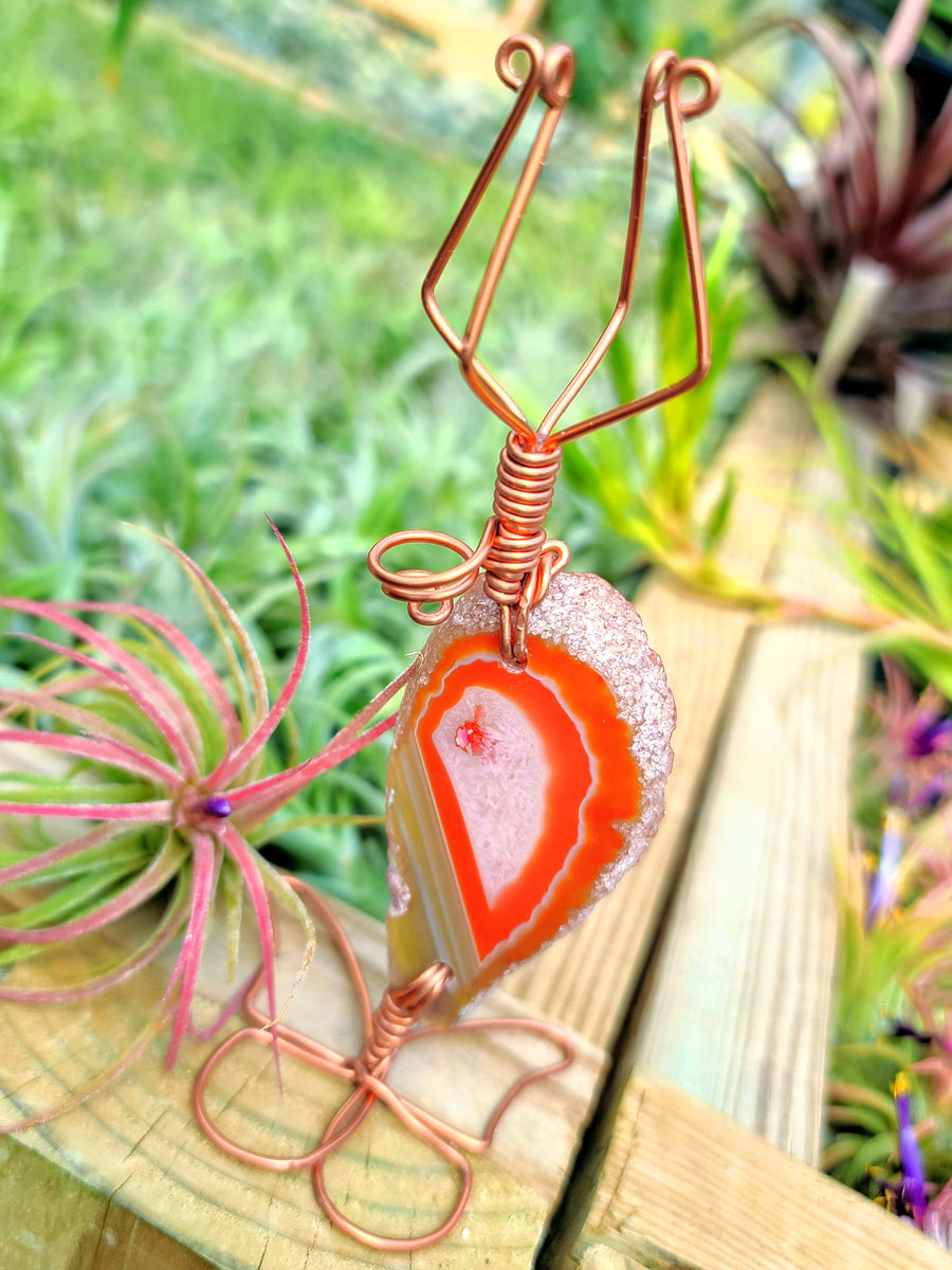 WYSIWYG Agate Crystal Butterfly Air Plant Holder with Ionantha Mexican