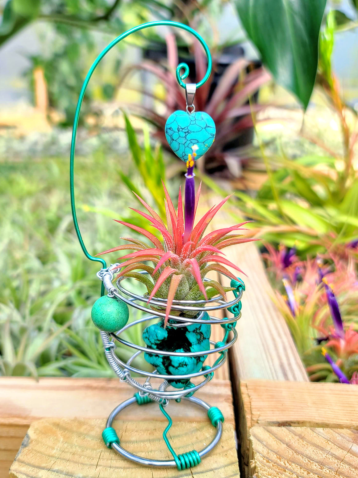 WYSIWYG Turquoise Howlite Air Plant Holder with Ionantha Mexican