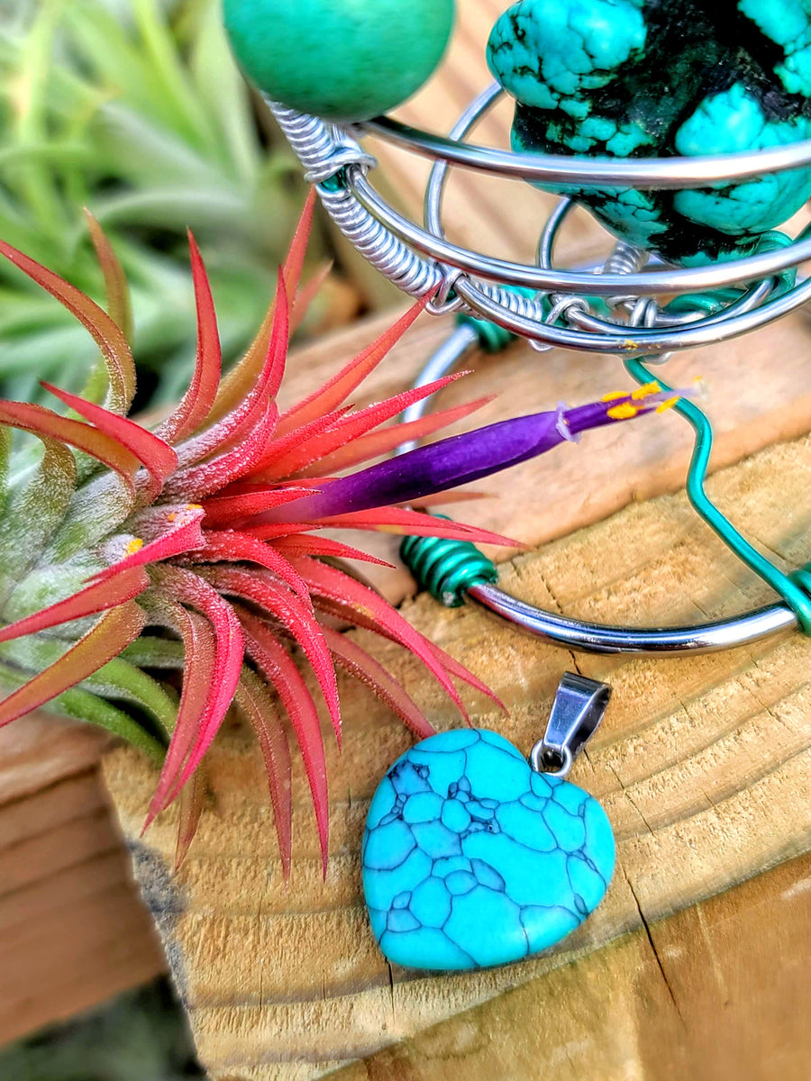 WYSIWYG Turquoise Howlite Air Plant Holder with Ionantha Mexican
