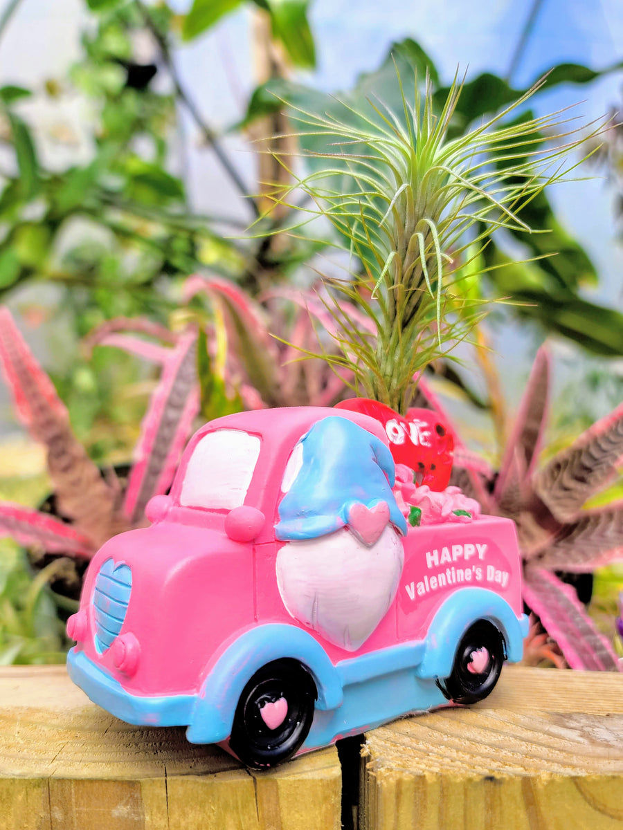 Pink Valentines Gnome Truck