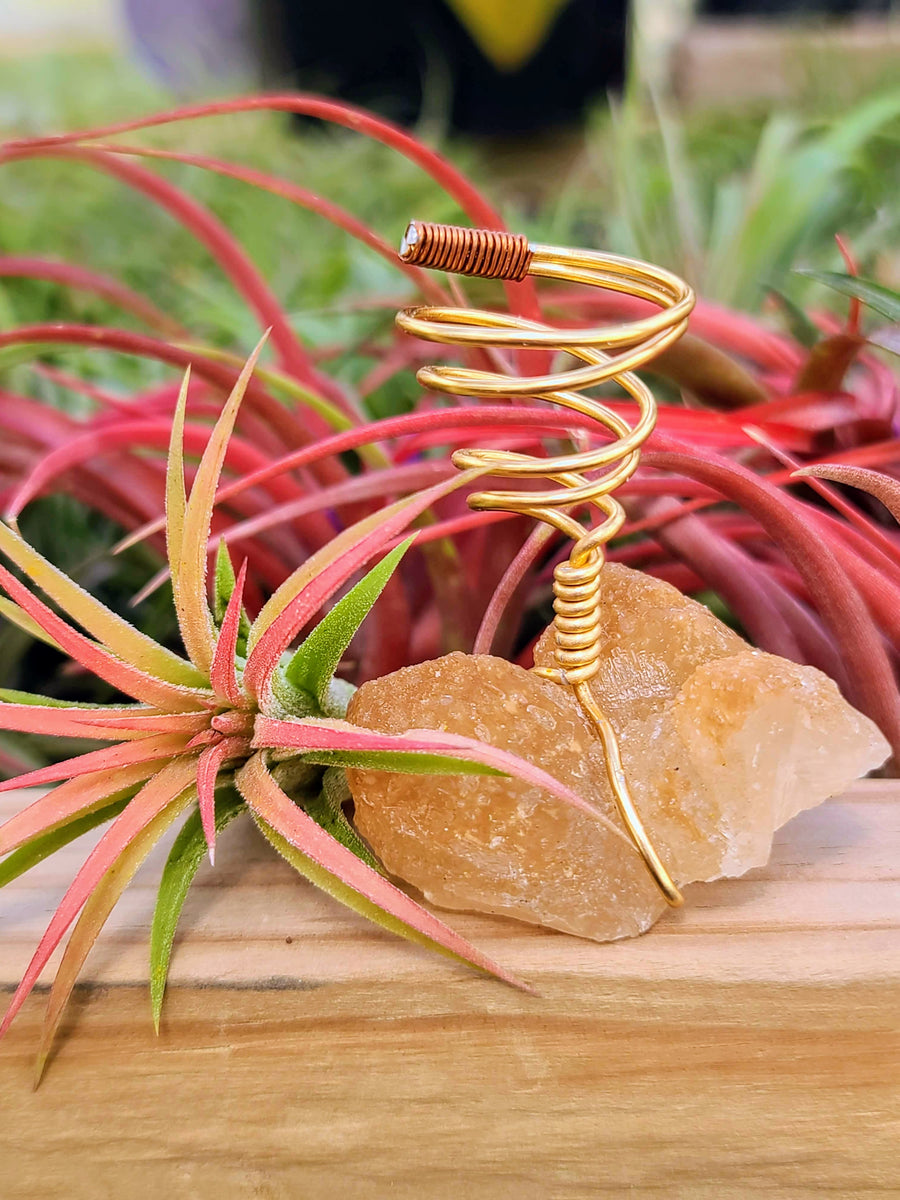 WYSIWYG Orange Calcite Air Plant Holder with Ionantha Mexican