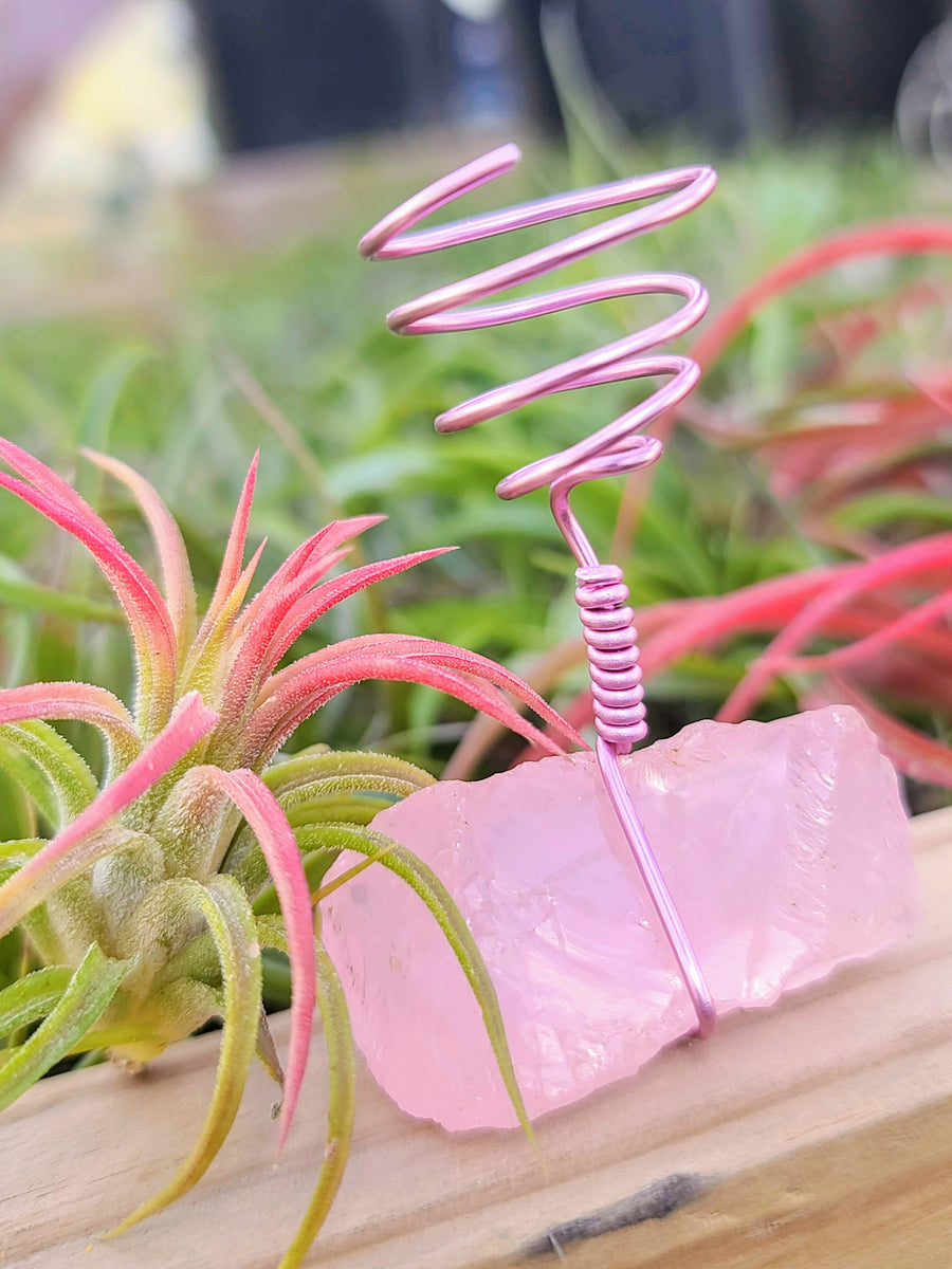 WYSIWYG Rose Quartz Air Plant Holder with Ionantha Mexican