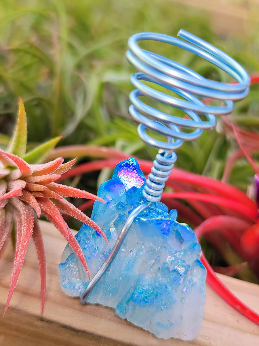 WYSIWYG Blue Aura Quartz Cluster Air Plant Holder with Ionantha Mexican