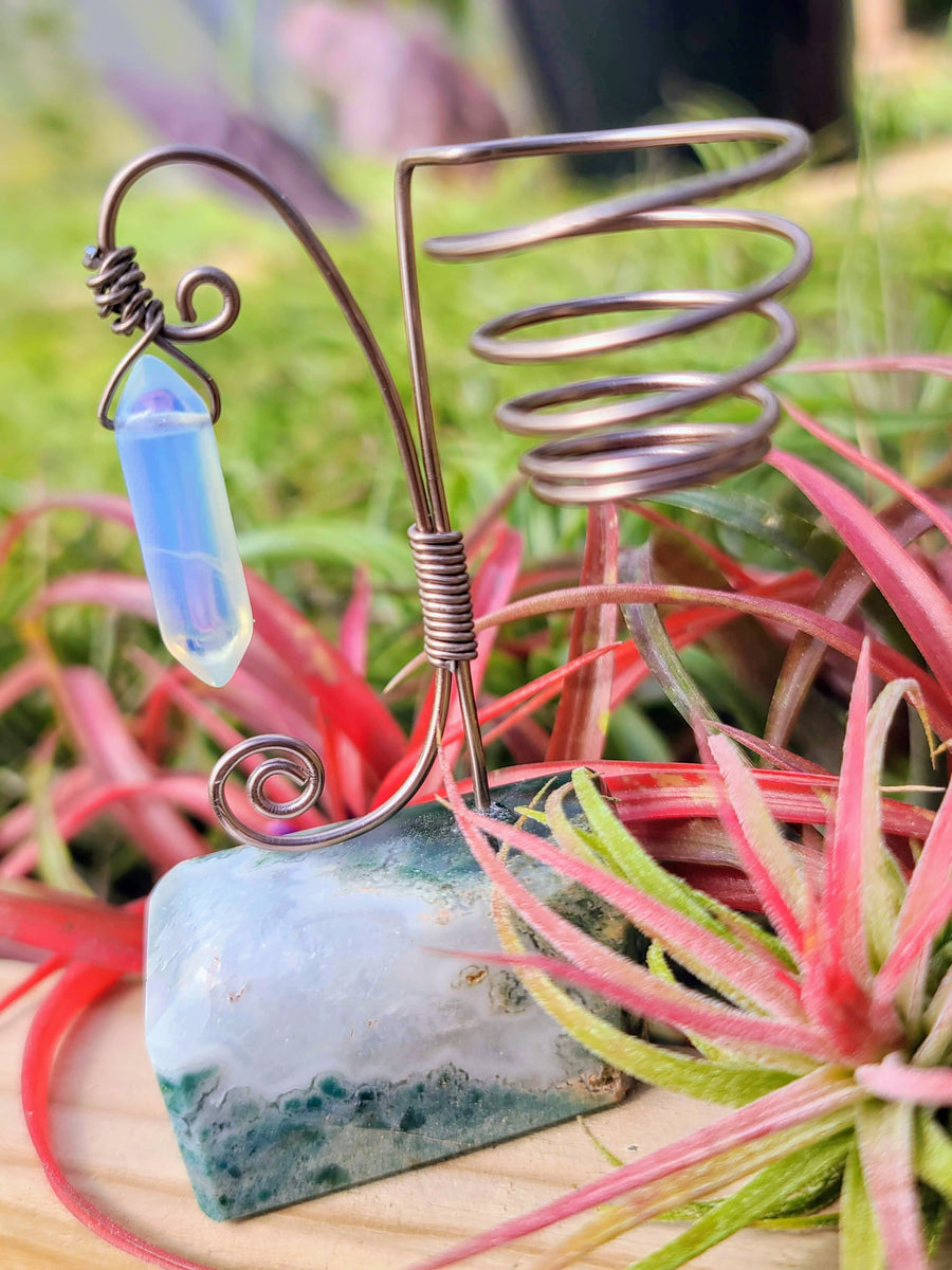 WYSIWYG Moss Agate Crystal Air Plant Holder with Ionantha Mexican