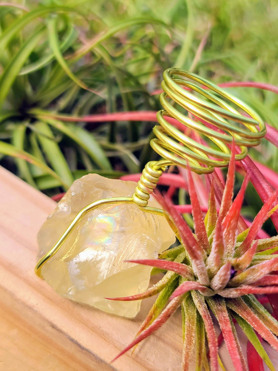 WYSIWYG Citrine Air Plant Holder with Ionantha Mexican