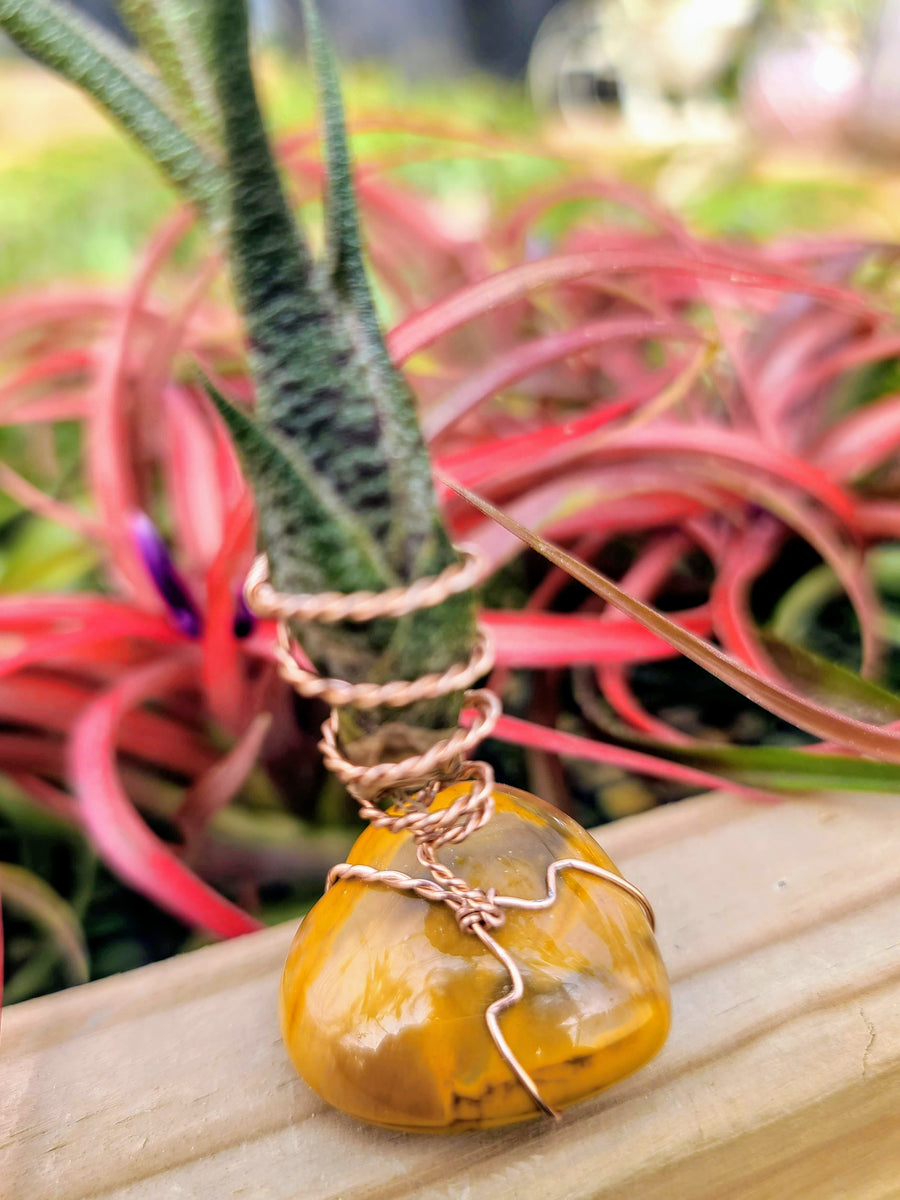 WYSIWYG Yellow Jasper Air Plant Holder with Butzii