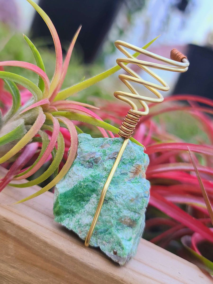 WYSIWYG Green Opal Air Plant Holder with Ionantha Mexican