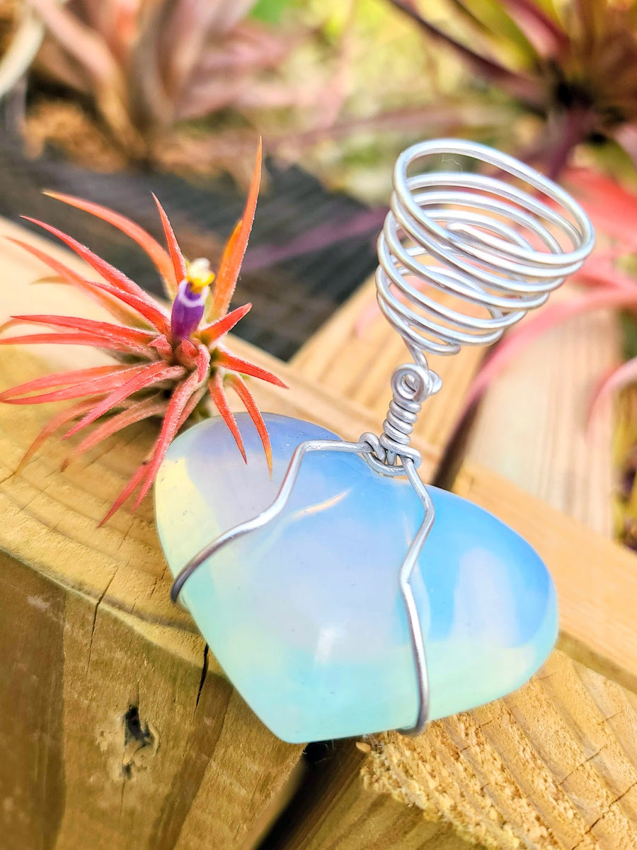 WYSIWYG Opalite Heart Air Plant Holder with Ionantha Mexican