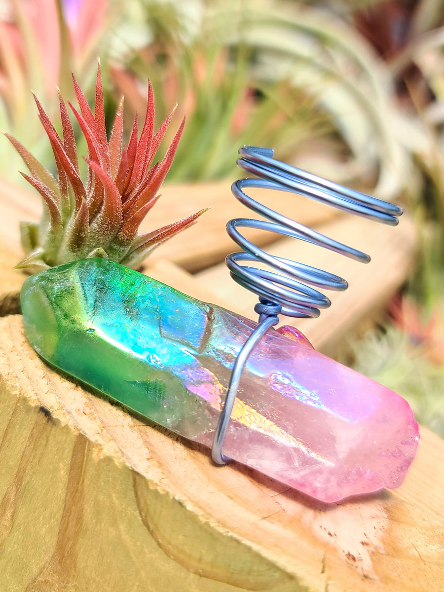 WYSIWYG Pink Aura Quartz Point Air Plant Holder with Ionantha Mexican