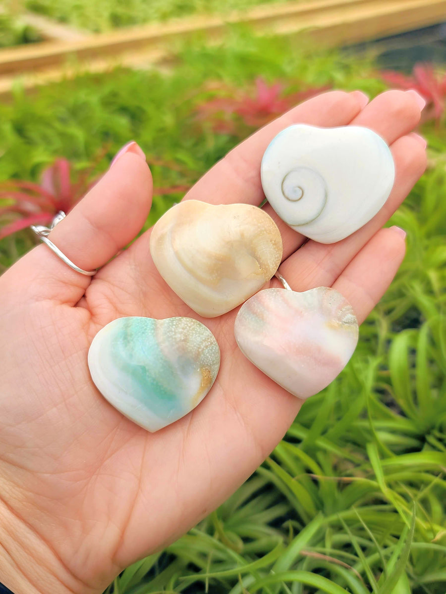 Shiva Eye Shell Crystal Heart Carving