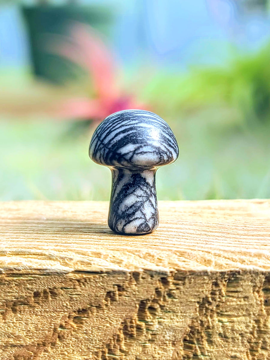 Mini Black Spider Web Crystal Mushroom