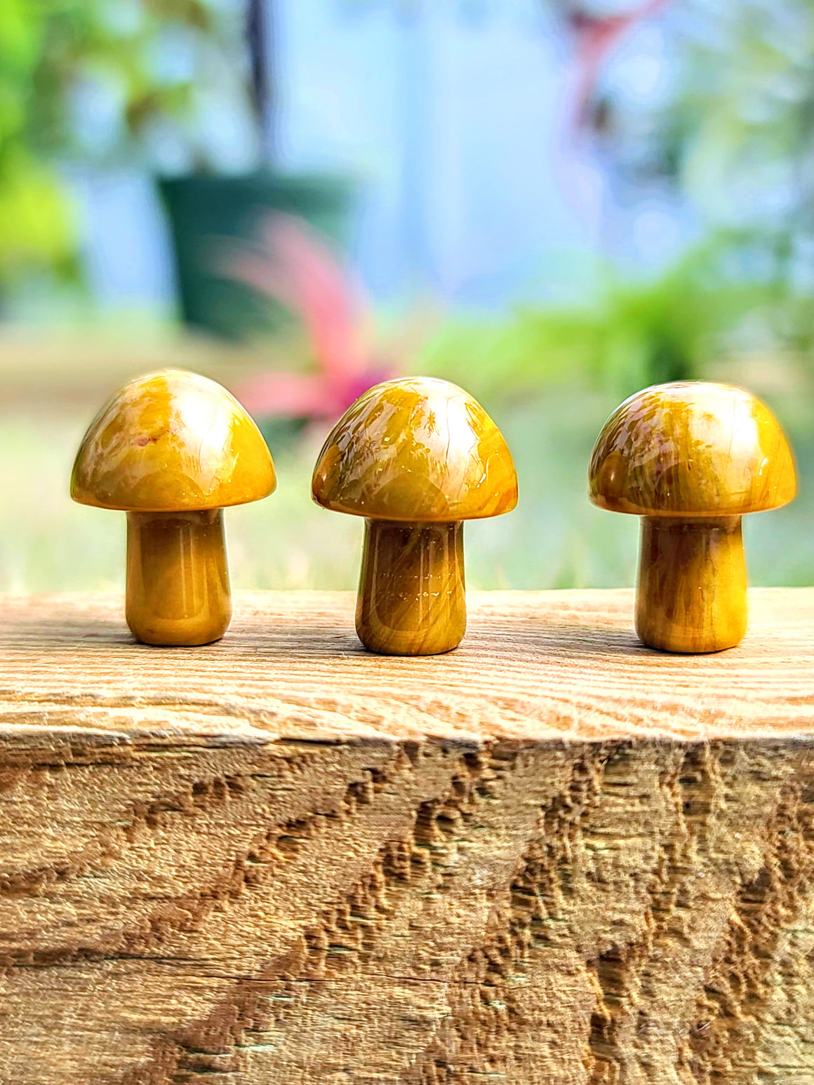 Yellow Ocean Jasper Crystal Mushroom