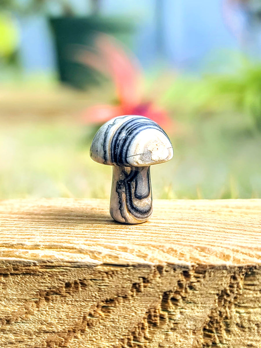 Mini Picasso Jasper Crystal Mushroom