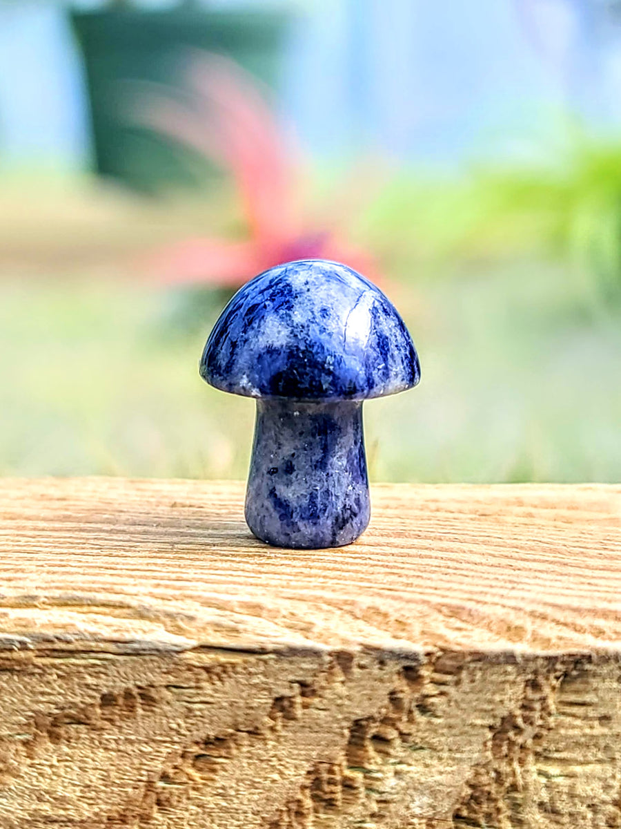 Mini Sodalite Crystal Mushroom