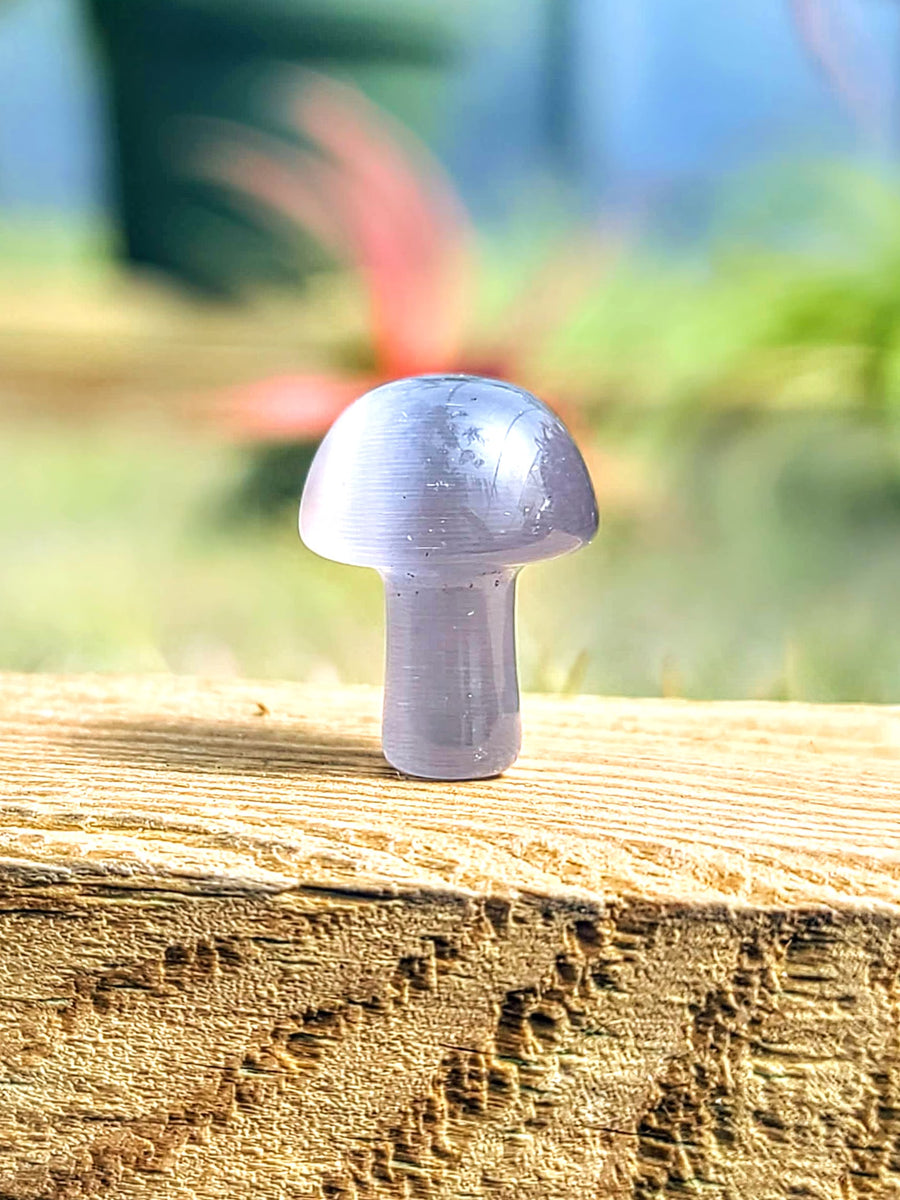 Lavender Cats Eye Crystal Mushroom