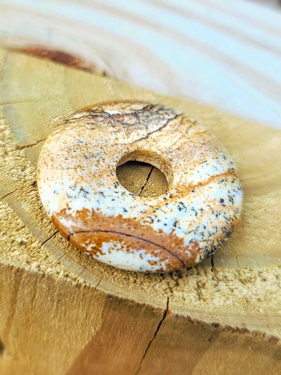 Dendritic Agate Donut Ring Holder w/ Air Plant