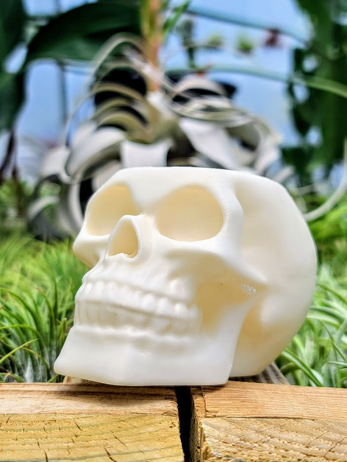 Pearl White Skull 3D Printed Holder w/ Ionantha Druid