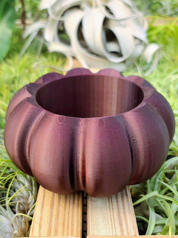 Large Brown Pumpkin 3D Printed Holder w/ Xerographica