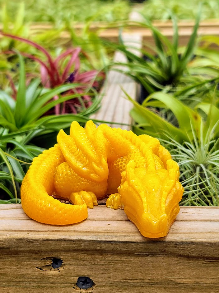 Sleeping Dragon Luminous Carving