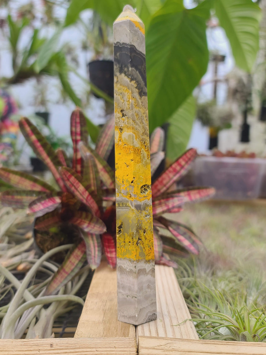 WYSIWYG- Bumblebee Jasper Tower