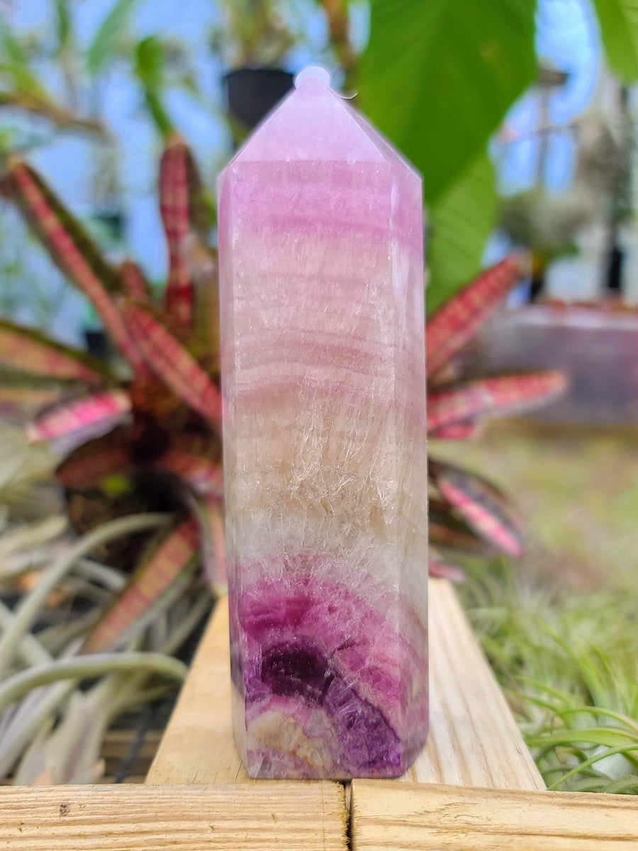 WYSIWYG- Pink/Light Purple Fluorite Tower