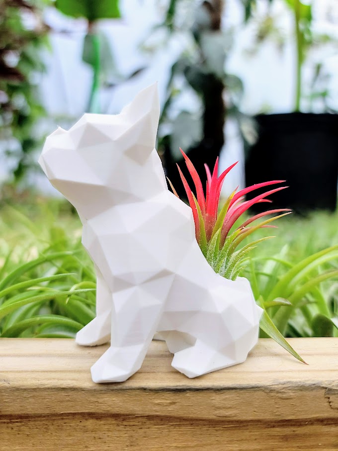 Small Frenchie 3D Printed Holder w/ Ionantha