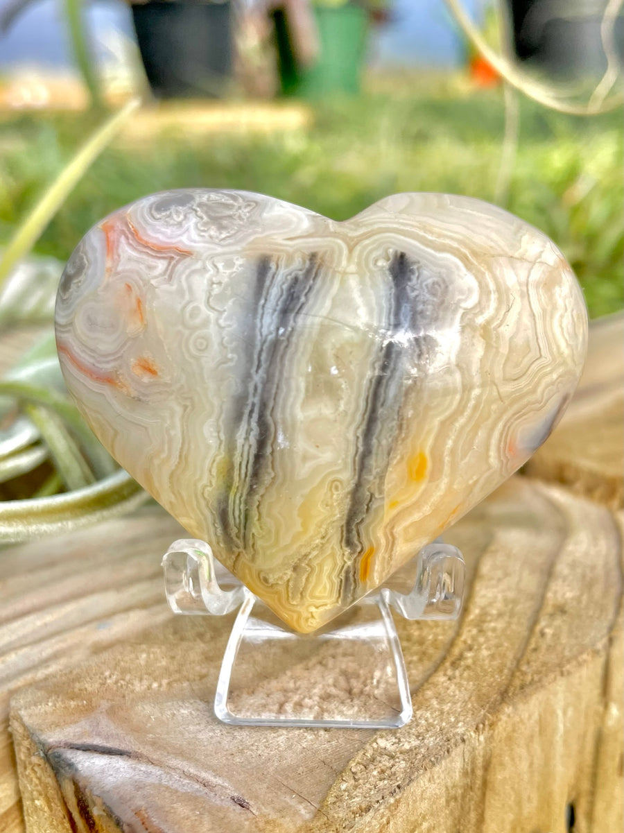 WYSIWYG- Crazy Lace Agate Heart