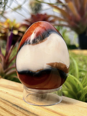 WYSIWYG Carnelian Crystal Egg