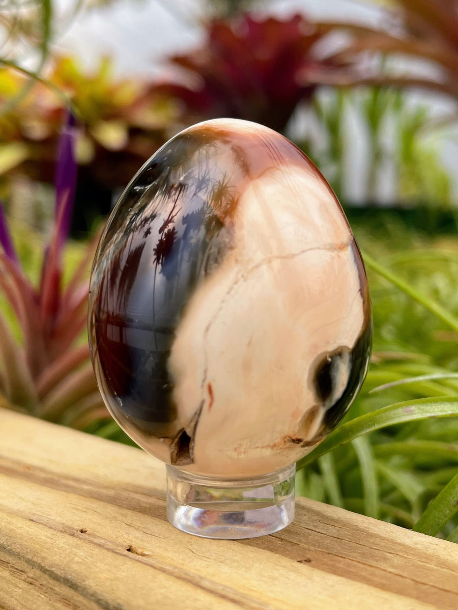 WYSIWYG Carnelian Crystal Egg