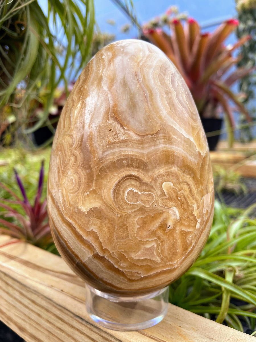 WYSIWYG Banded Jasper Crystal Egg