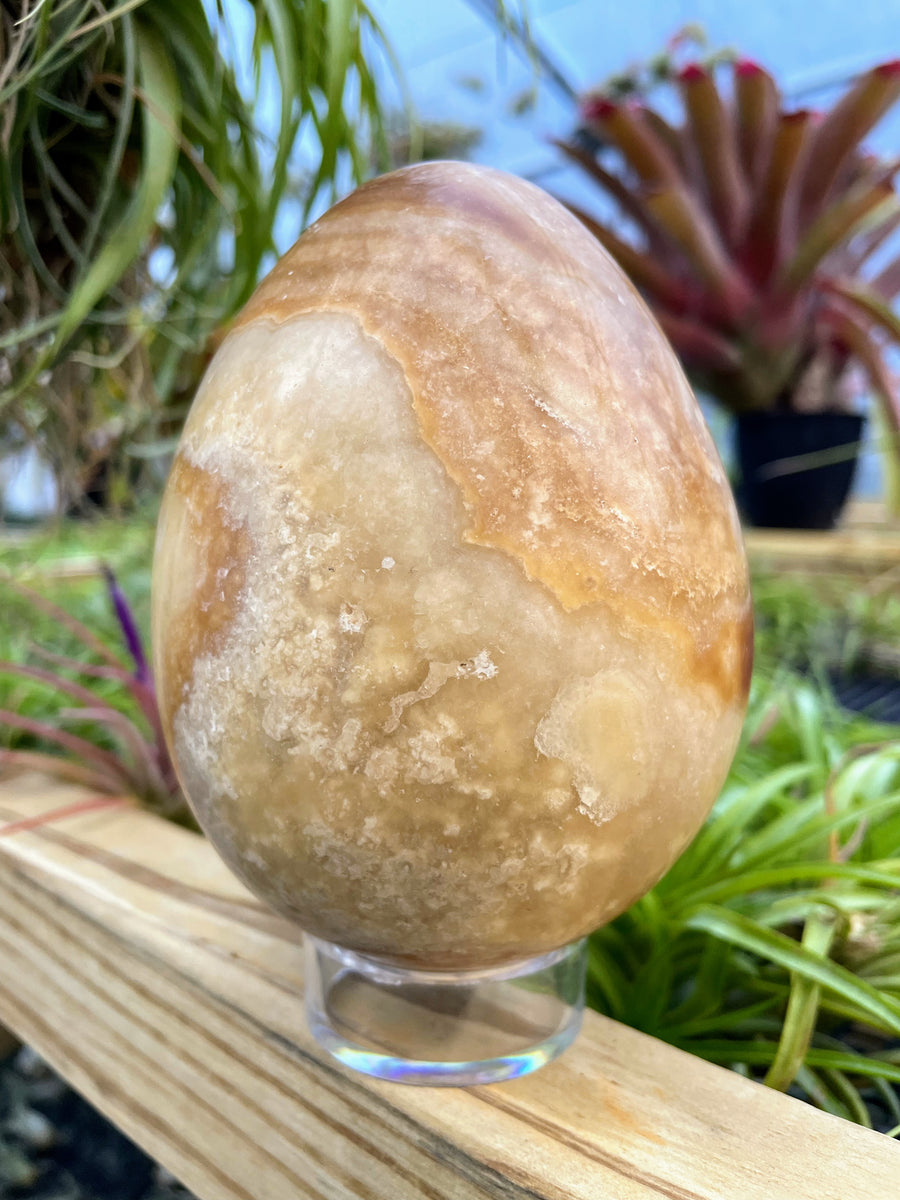 WYSIWYG Banded Jasper Crystal Egg