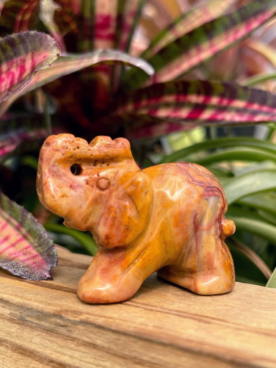 WYSIWYG Imperial Jasper Crystal Elephant Carving