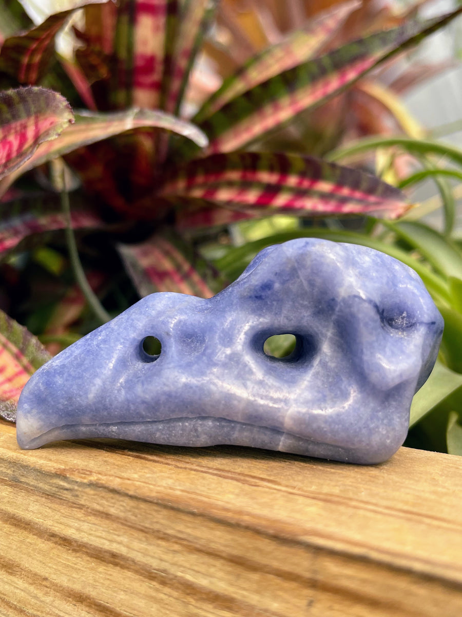 Sodalite Raven Skull Crystal Carving