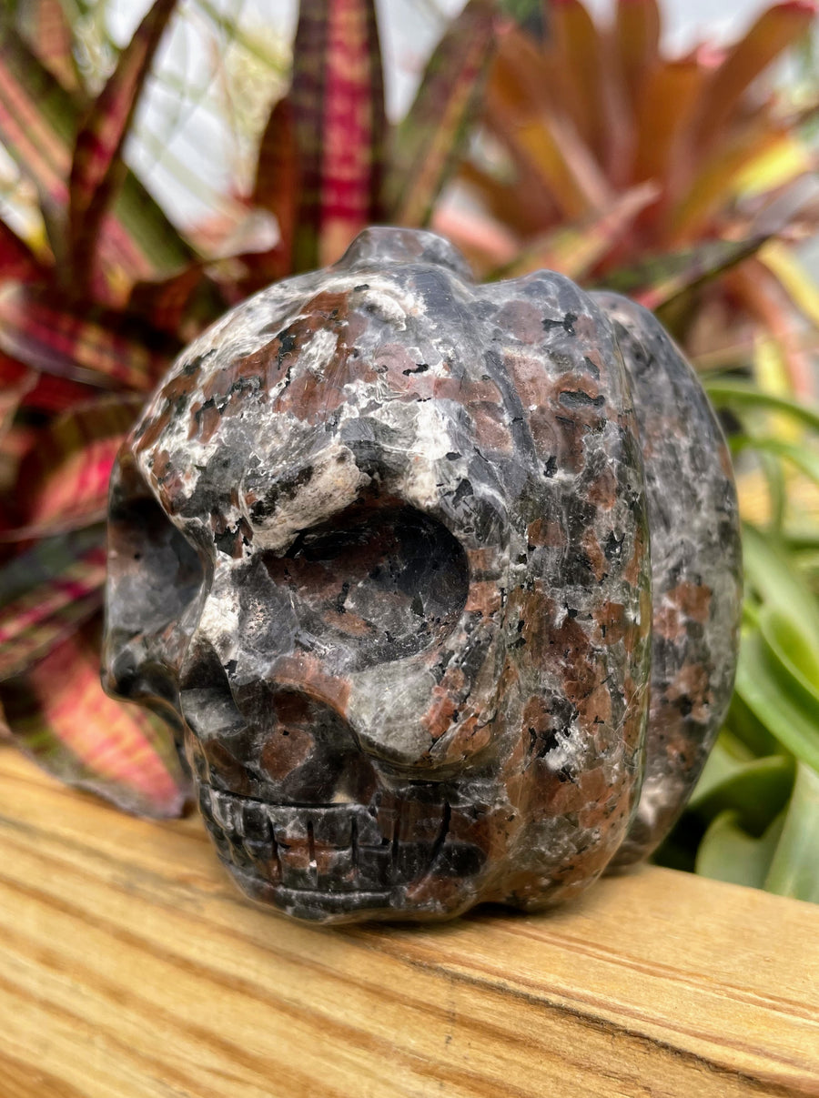 Yooperlite Jack-O'-Lantern Skull Crystal Carving