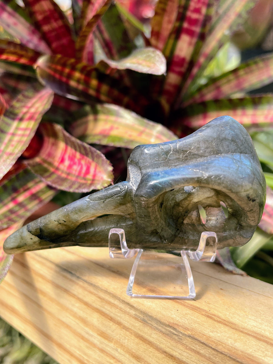 Labradorite Raven Skull Crystal Carving