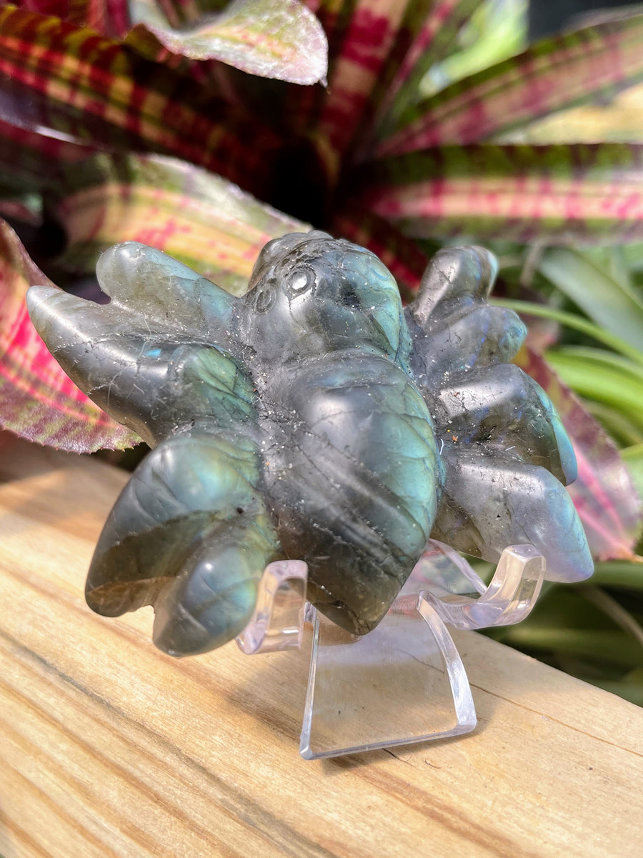 Labradorite Tarantula Crystal Carving
