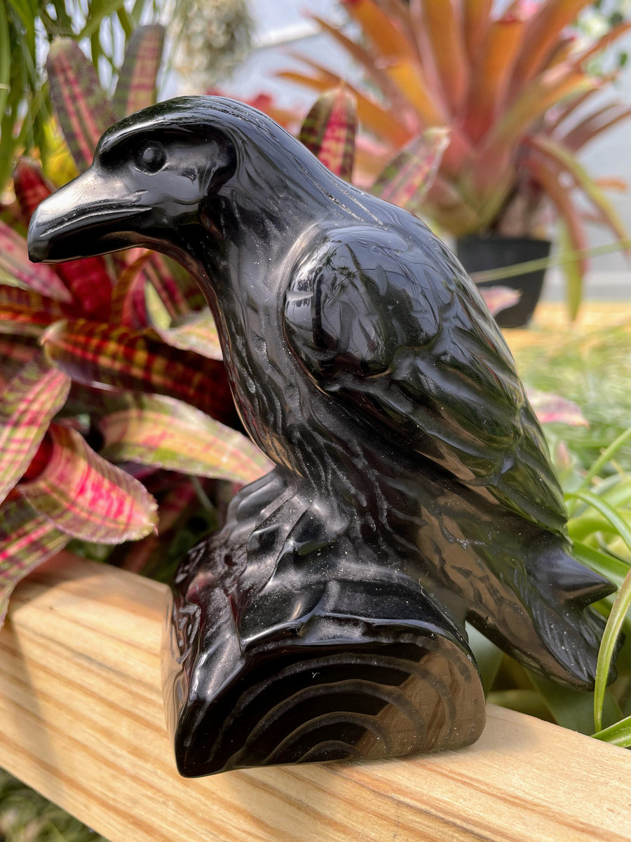 Black Obsidian Raven Crystal Carving