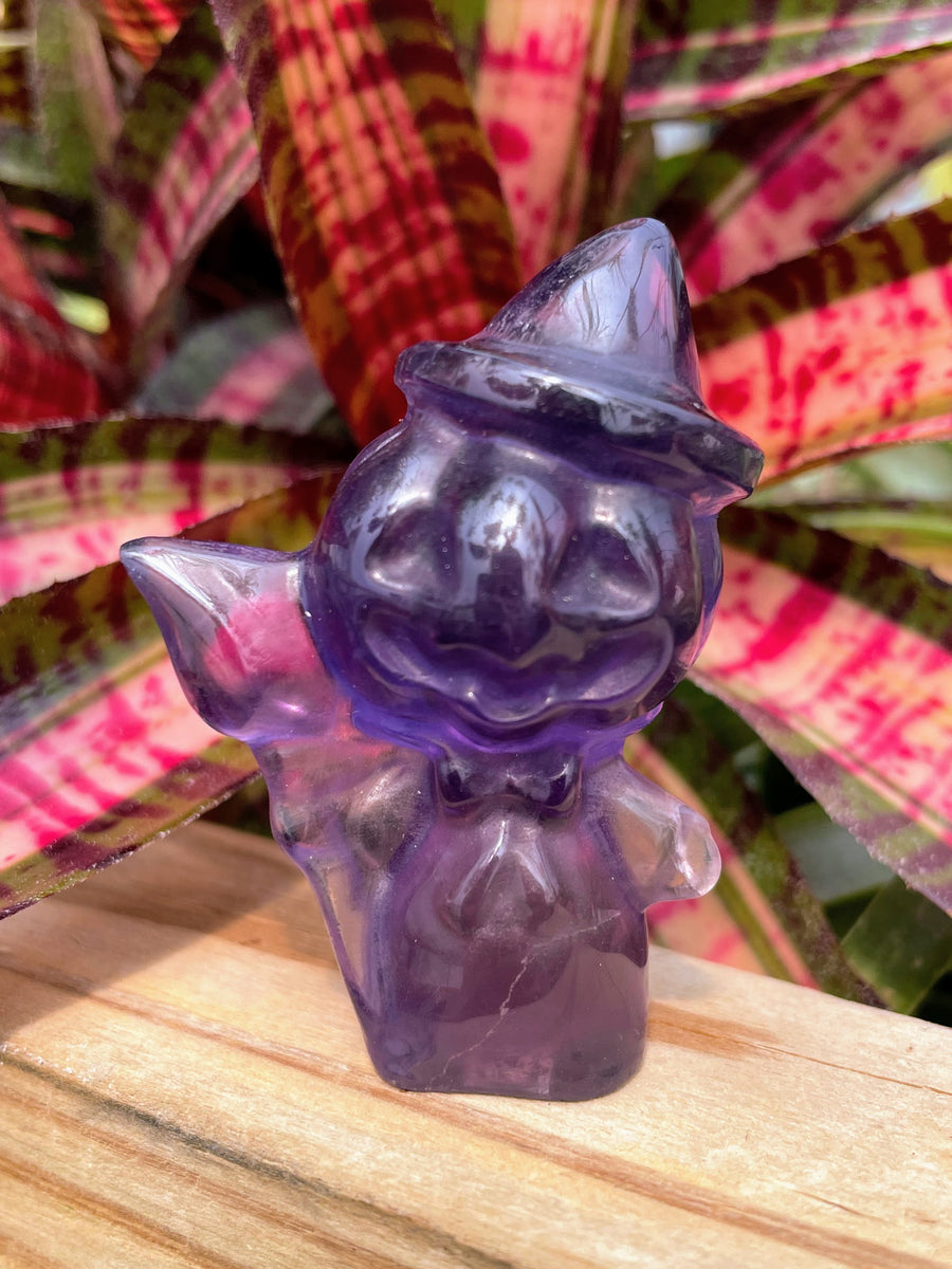 Jack-O'-Lantern Witch Crystal Carving