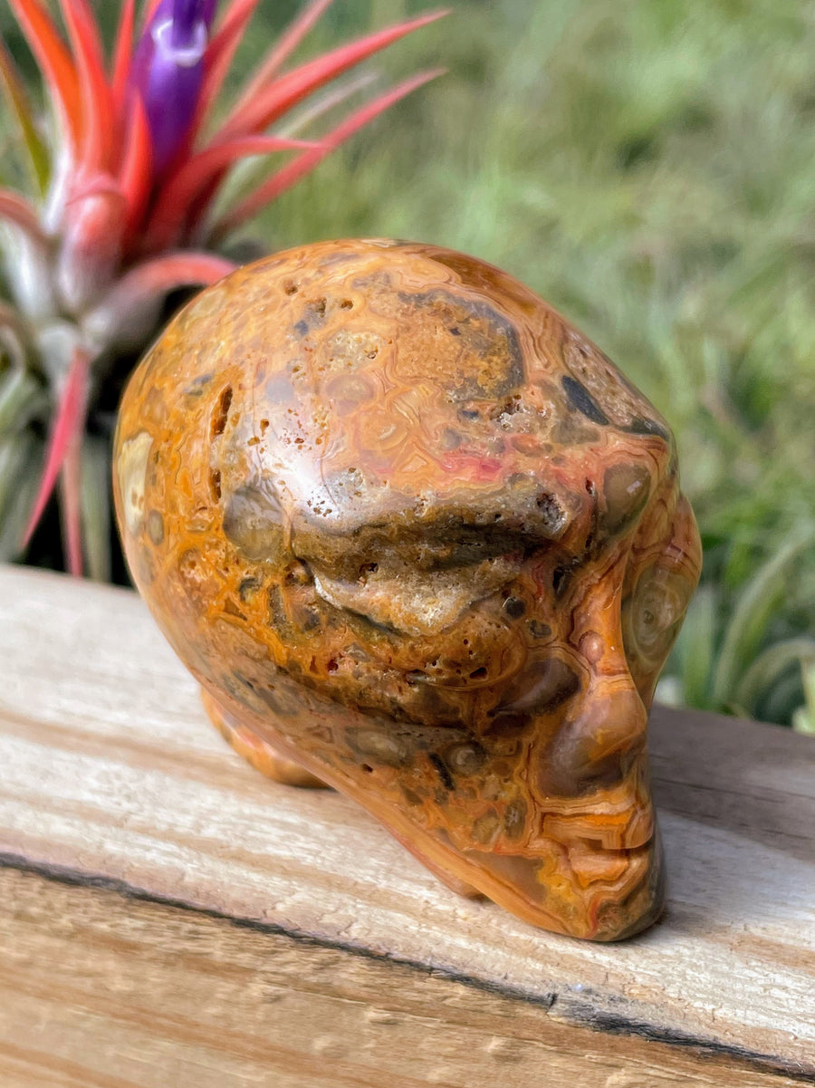 Crazy Lace Agate Alien Skull Carving